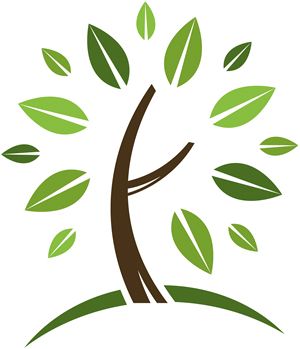 ECO Canon Bologna